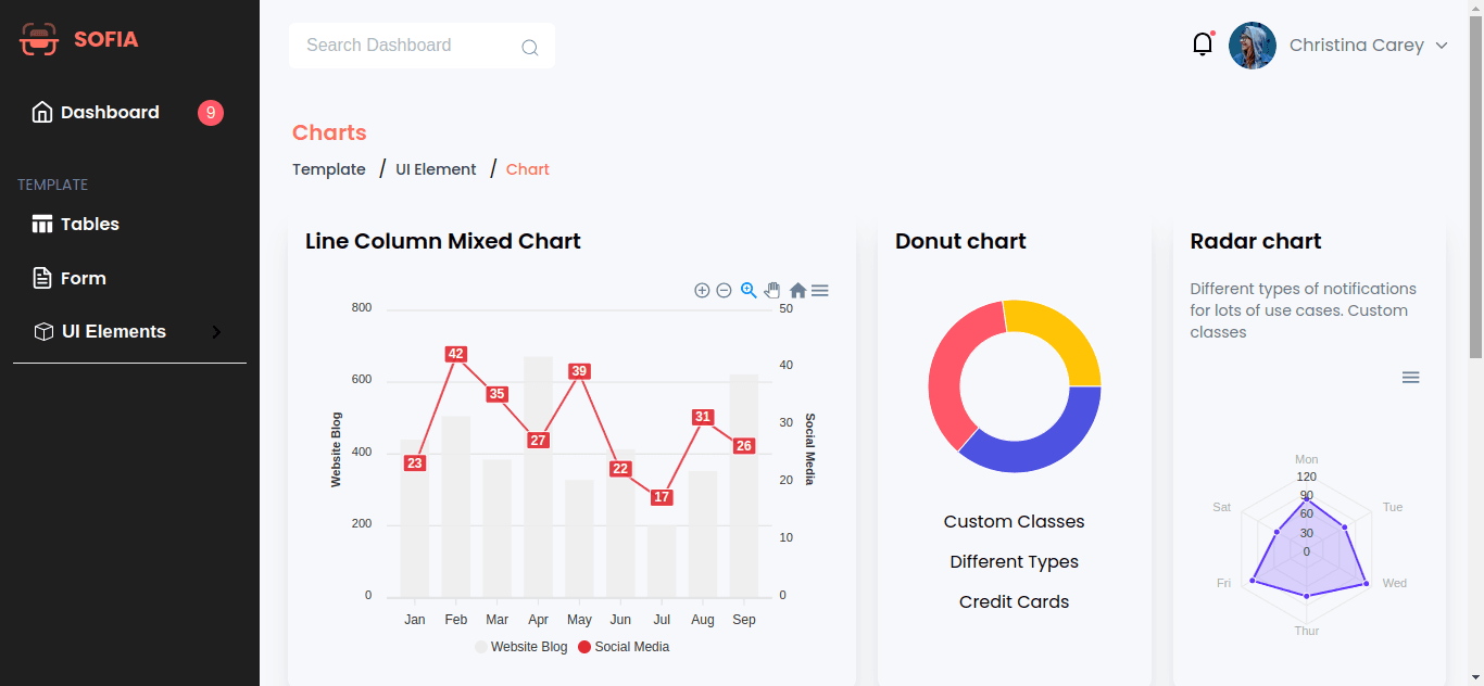 projectImg